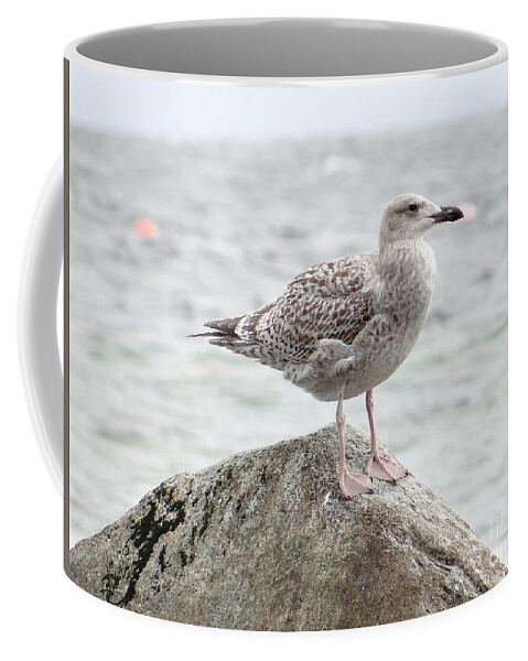 Gull Coffee Mug featuring the photograph A moment of rest by Karin Ravasio