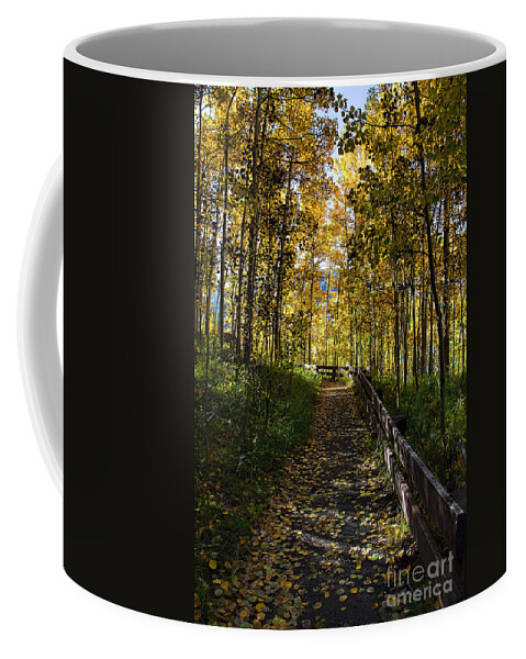 Aspen Leaves Coffee Mug featuring the photograph A Morning Stroll by Jim Garrison