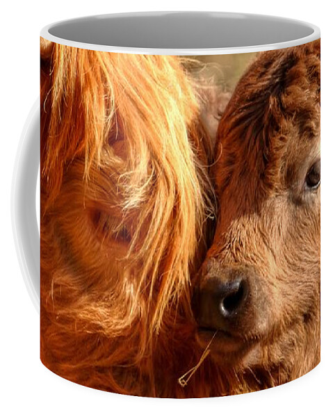 Cattle Coffee Mug featuring the photograph A Mother's Love 0088 by Kristina Rinell