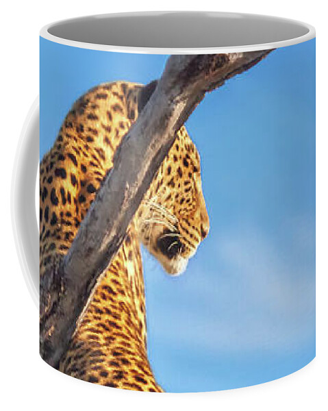 Africa Coffee Mug featuring the photograph A Mother's Top Spot by Sylvia J Zarco