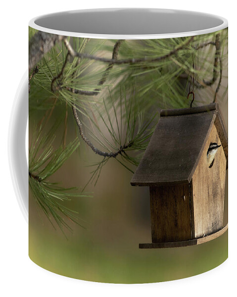 Bird Coffee Mug featuring the photograph A New Occupant by Loni Collins