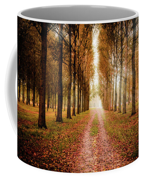 Autumn Coffee Mug featuring the photograph A Nice Autumn Day by Adriana Zoon