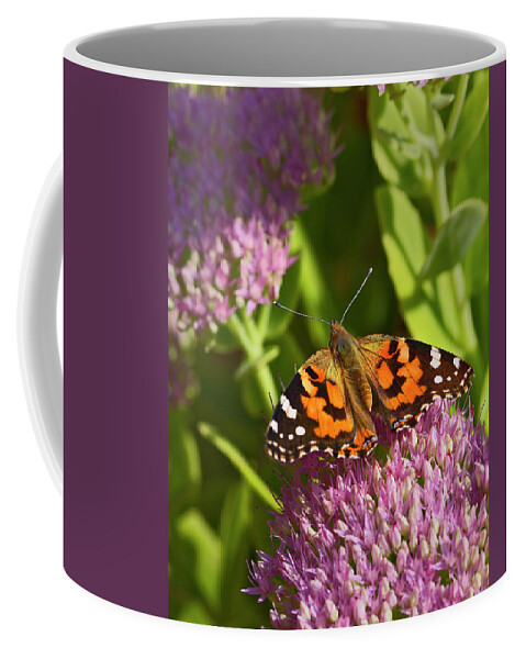 Painted Coffee Mug featuring the photograph A Painted Lady Butterfly by Gary Langley