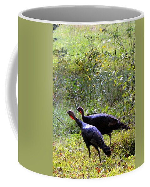 Wild Turkeys Coffee Mug featuring the photograph A Pair of Wild Turkeys by Carla Parris