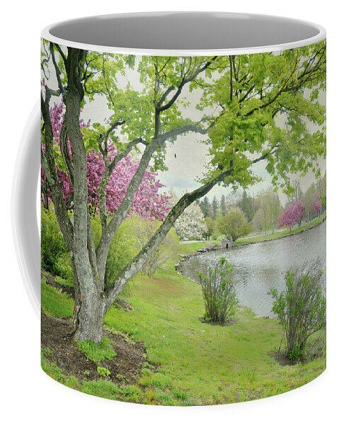 Spring Landscape Coffee Mug featuring the photograph A Park Place by Diana Angstadt