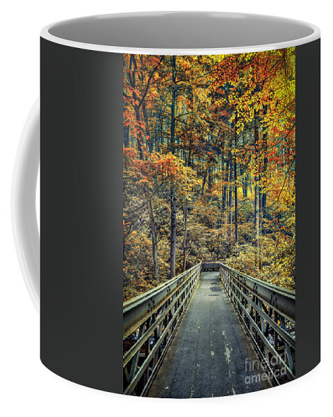 Kremsdorf Coffee Mug featuring the photograph A Path Into Autumn by Evelina Kremsdorf