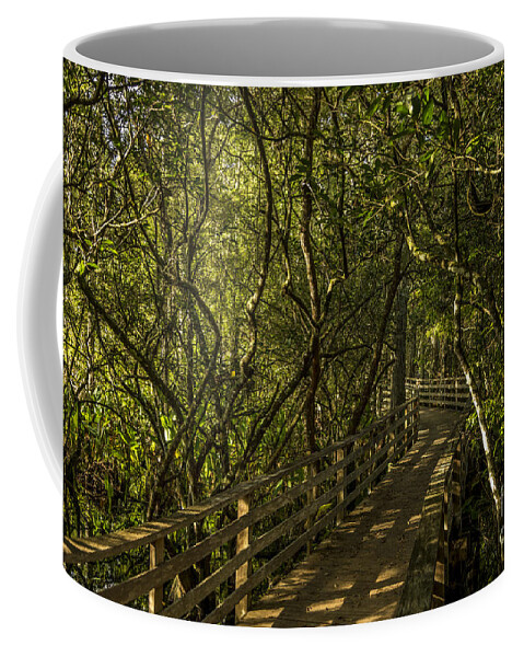 Corkscrew Coffee Mug featuring the photograph A Path Through Time by Nancy L Marshall