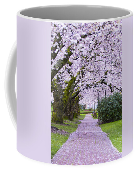 Pink Coffee Mug featuring the photograph A Pink Pathway by Matt McDonald