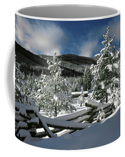 The Walkers Coffee Mug featuring the photograph A Place in the Winter Sun by The Walkers
