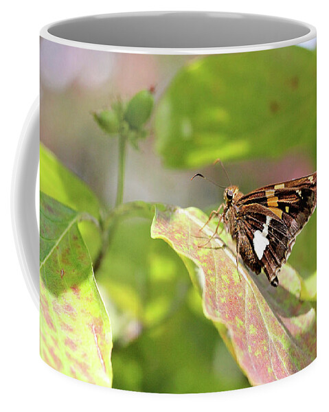 Butterfly Coffee Mug featuring the photograph A Place of Rest by Trina Ansel