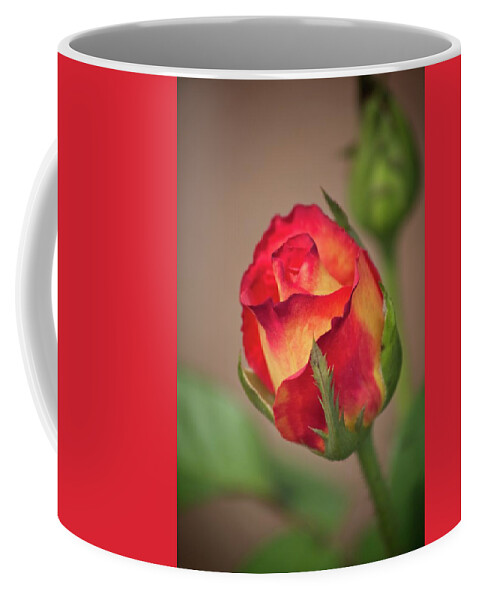 Tl Wilson Photography Coffee Mug featuring the photograph A Promise by Teresa Wilson