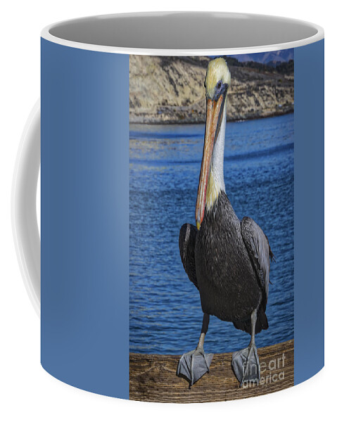 A Proud Pelican Portrait Coffee Mug featuring the photograph A Proud Pelican Portrait by Mitch Shindelbower