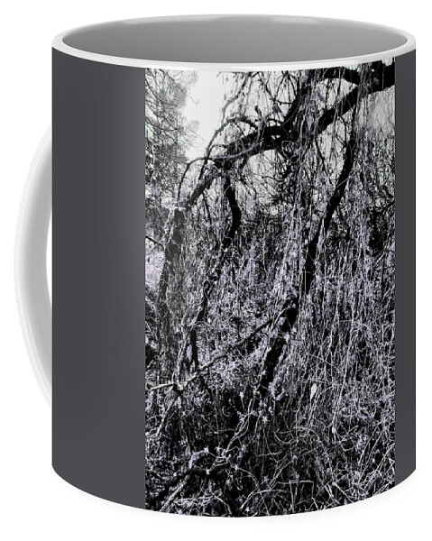 Vines Coffee Mug featuring the photograph A Quiet Fire by Nicholas Haddox