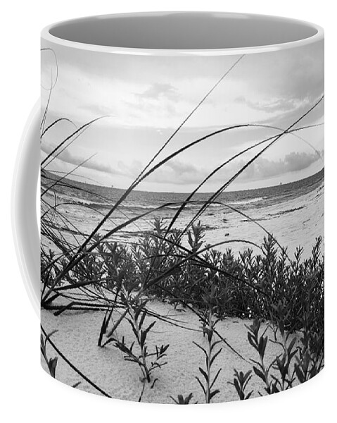 Beach Coffee Mug featuring the photograph A Quiet Place by Rachel Hannah