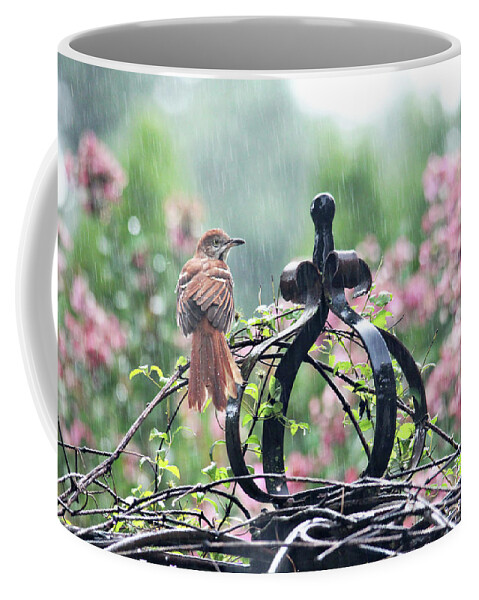 Birds Coffee Mug featuring the photograph A Rainy Summer Day by Trina Ansel
