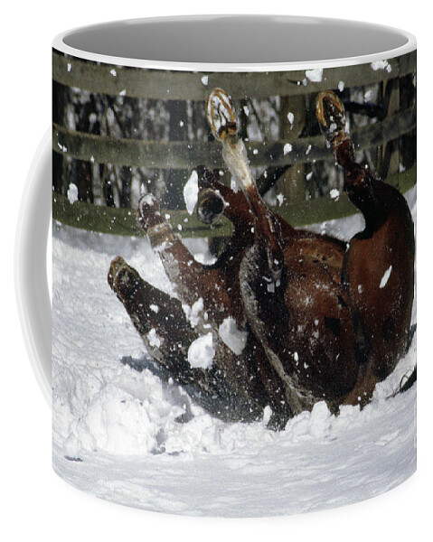 Horse Coffee Mug featuring the photograph A Roll in the Snow by Nicki McManus