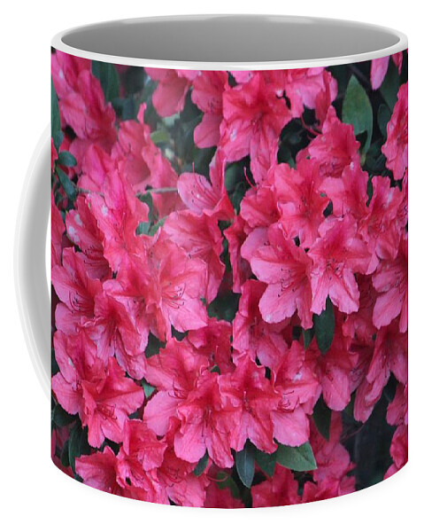 Azalea Coffee Mug featuring the photograph A Shade Of Pink by Cynthia Guinn