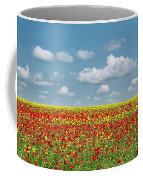 Wildflowers Coffee Mug featuring the photograph A Splatter of Red by Tim Gainey