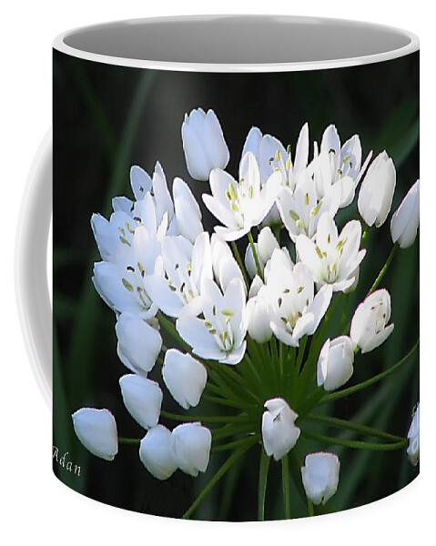 Spring Florals Coffee Mug featuring the photograph A Spray of Wild Onions by Felipe Adan Lerma