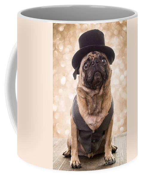 Pug Coffee Mug featuring the photograph A Star Is Born - Dog Groom by Edward Fielding