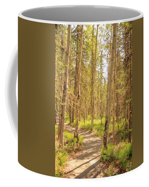 Alaska Coffee Mug featuring the photograph A Sunny Day Hiking in Denali by Joni Eskridge