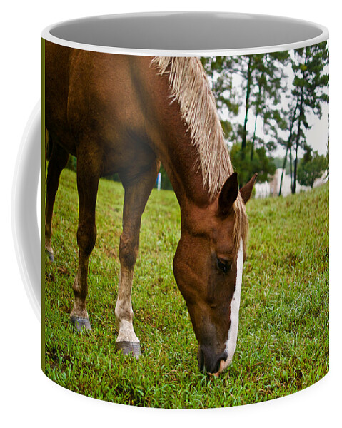 Horse Coffee Mug featuring the photograph A Sweet September by Lara Morrison