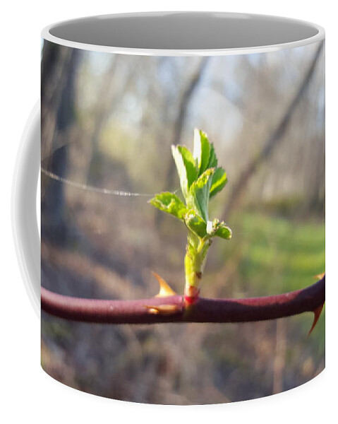Plant Coffee Mug featuring the photograph A Thread and a Thorn by Dani McEvoy