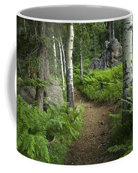 Hike Coffee Mug featuring the photograph A Tranquil Path by Sue Cullumber