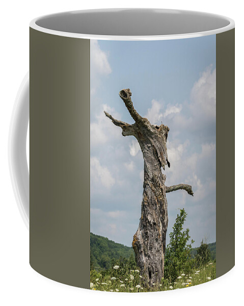 Old Tree Coffee Mug featuring the photograph A Tree With A Face 2017-3 by Thomas Young