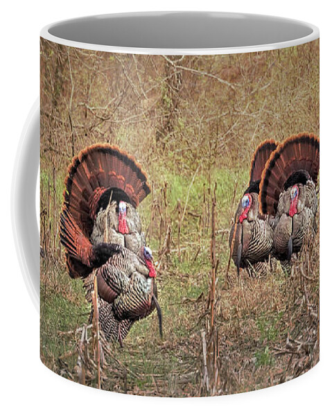 Turkey Coffee Mug featuring the photograph A Turkey Hunters Dream by Susan Rissi Tregoning