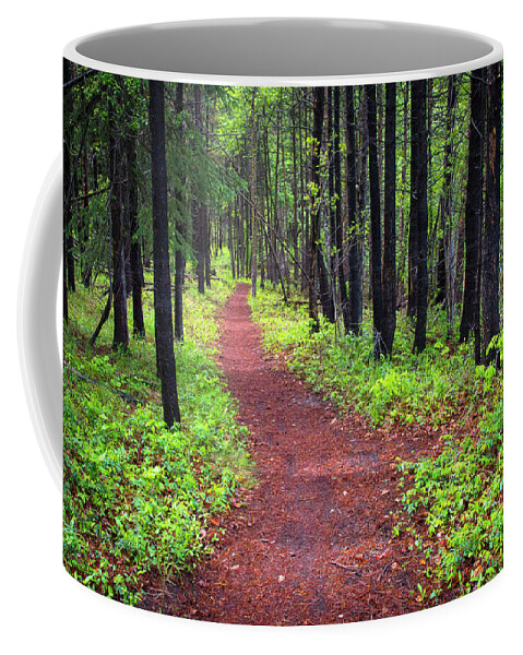 Forest Coffee Mug featuring the photograph A walk in the Forest by Bill Cubitt