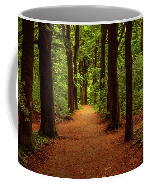 Arnhem Coffee Mug featuring the photograph A walk in the park by Tim Abeln