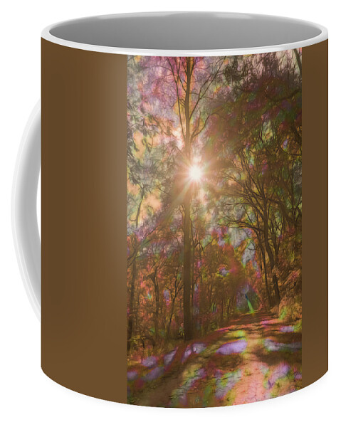 Rainbow Coffee Mug featuring the photograph A Walk Through the Rainbow Forest by Beth Venner