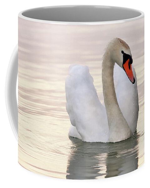  Art Coffee Mug featuring the painting A white swan on the lake by Odon Czintos