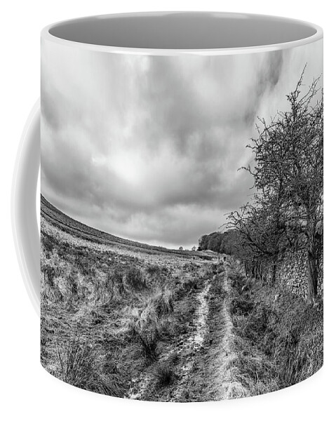 Winter Coffee Mug featuring the photograph A Winter Track by Nick Bywater