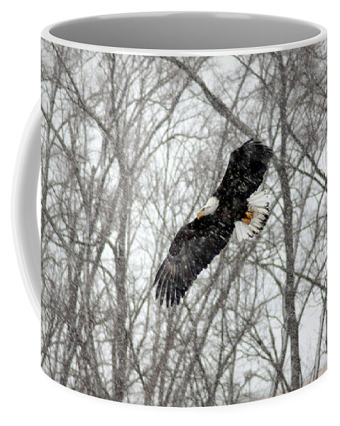 Eagle Coffee Mug featuring the photograph A Winter's Day by Viviana Nadowski