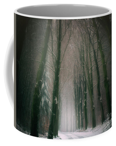 Winter Coffee Mug featuring the photograph A Woodland Fantasy by David Lichtneker