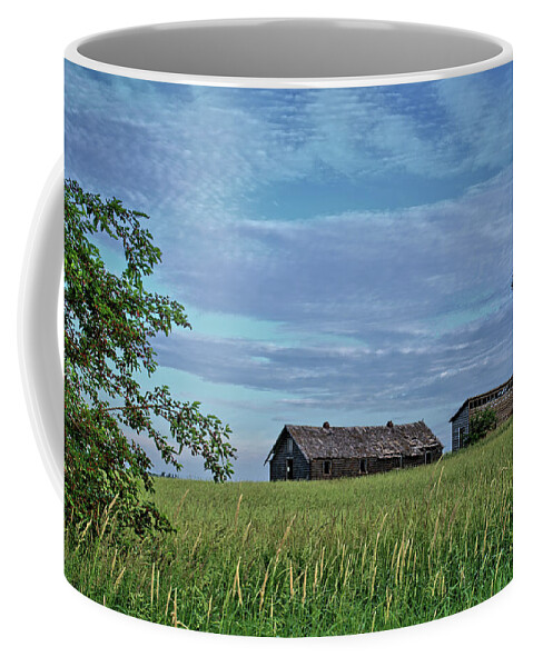 Grass Coffee Mug featuring the photograph Abandoned in Grass by Bonfire Photography