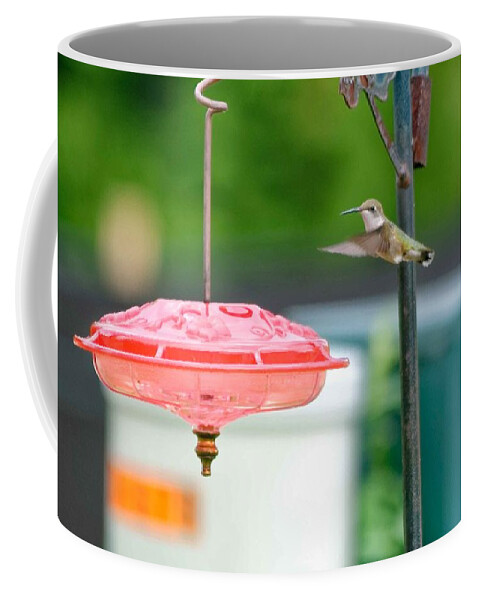 Hummingbird Coffee Mug featuring the photograph About to land by Peter Ponzio