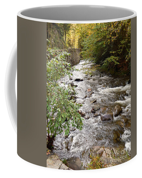 Photography Coffee Mug featuring the photograph Abrams Creek In Tennessee by Phil Perkins