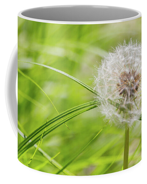 Abstract Coffee Mug featuring the photograph Abstract Grass and Dandelion by SR Green