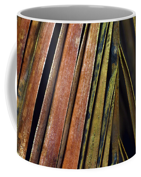 Photograph Coffee Mug featuring the photograph Abstract Palm Frond by Larah McElroy