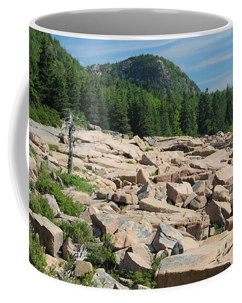Acadia National Park Coffee Mug featuring the photograph Acadia Coastline by Living Color Photography Lorraine Lynch