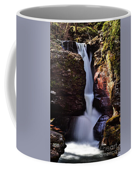 Photography Coffee Mug featuring the photograph Adams Falls by Larry Ricker