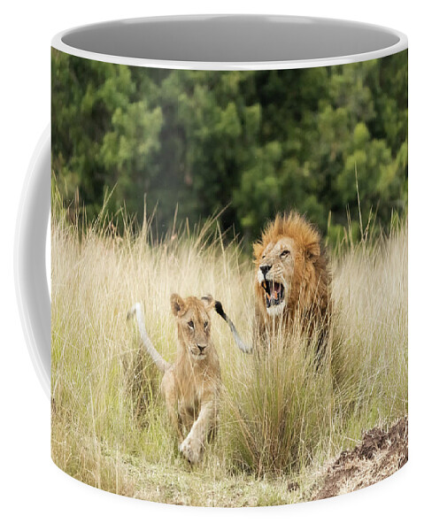 Lion Coffee Mug featuring the photograph Adult lion and cub in the Masai Mara by Jane Rix