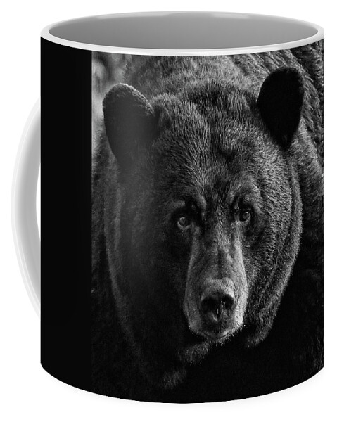 American Black Bear Coffee Mug featuring the photograph Adult Male Black Bear by Coby Cooper