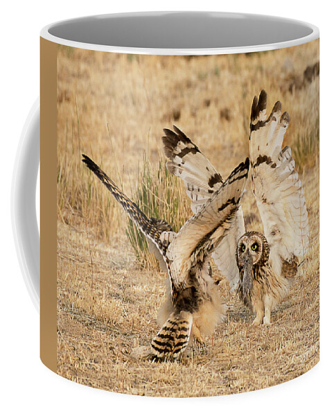 Bird Coffee Mug featuring the photograph Adult Short Eared Owl Feeding Its Young by Dennis Hammer
