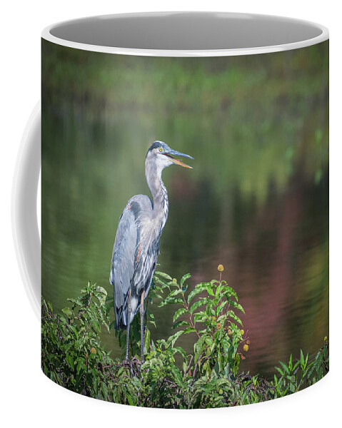 Photograph Coffee Mug featuring the photograph Advice from a Great Blue Heron by Cindy Lark Hartman