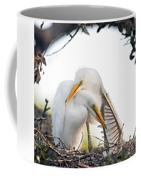 Egret Coffee Mug featuring the photograph Affectionate Chicks by Kenneth Albin