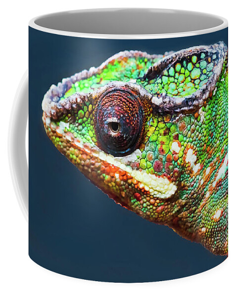 African Chameleon Coffee Mug featuring the photograph African Chameleon by Richard Goldman